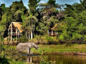 Camp Savuti Hotel Esterno foto