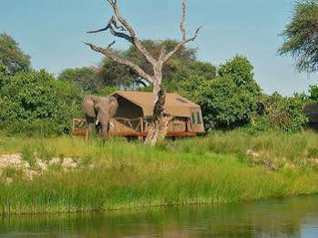 Camp Savuti Hotel Esterno foto